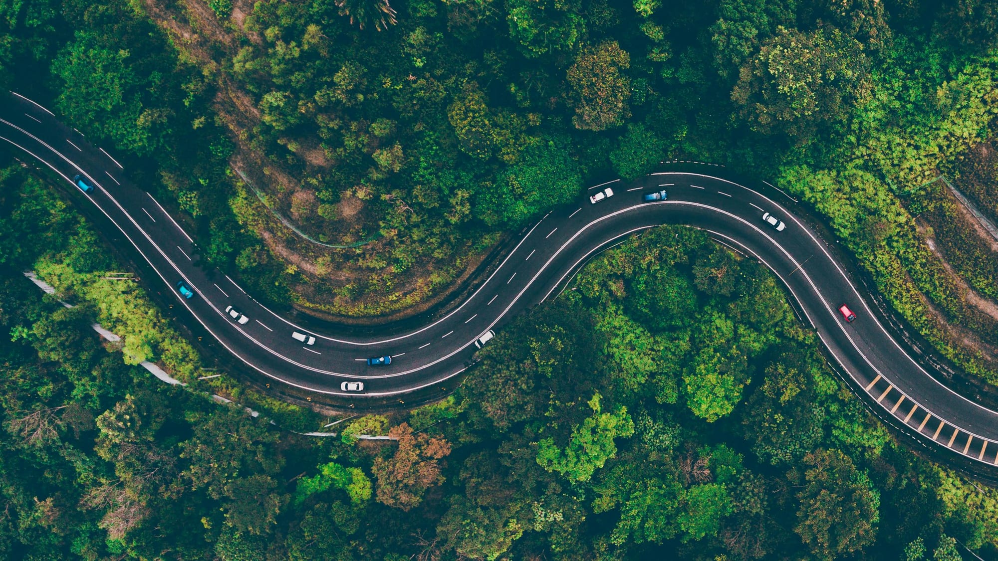 Winding road through the forest